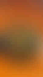 COMO Metropolitan Bangkok Review รีวิวโรงแรม como metropolitan bangkok โคโม เมโทรโพลิแทน กรุงเทพฯ Staycation Bangkok Best Hotel Nahm