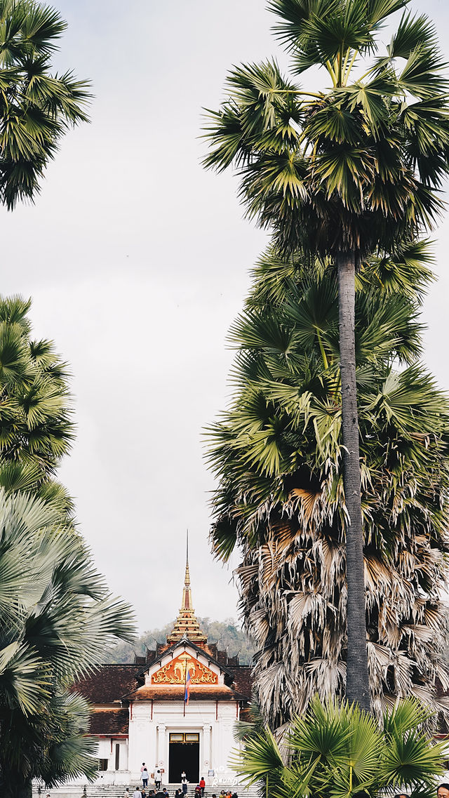 Amantaka สัมผัสความงาม ยลหลวงพระบาง เมืองมรดกโลก กับ อมันทกา Amantaka Exclusive Deal LetsHoparound HopStay Aman Resort Luang Prabang Resort Luxury Resort Lao Closer to Home Best Place to Stay Aman Foodie Amanjunkie The Spirit of Aman อมันทกา หลวงพระบาง เมืองหลวงพระบาง เมืองมรกดโลก รีสอร์ท รีสอร์ทในหลวงพระบาง รีสอร์ทน่าพักในลาว รีสอร์ทน่าพักในหลวงพระบาง Unesco โปรโมชั่นที่พัก ราคาคนไทย amanpuri amansara amantaka amanoi aman brand ดีลพิเศษ ส่วนลด โปรโมชั่นที่พัก ดีลห้องพัก เที่ยวหลวงพระบาง นอนหลวงพระบาง rosewood luang prabang