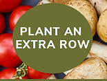 Plant an Extra Row.png