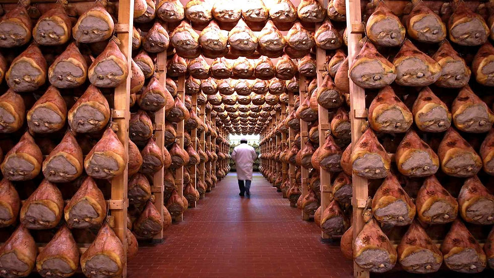 Saalumi tipici dell'Emilia Romagna di Emilia DOP