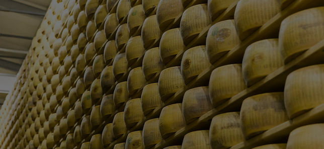 la newsletter di Emilia DOP