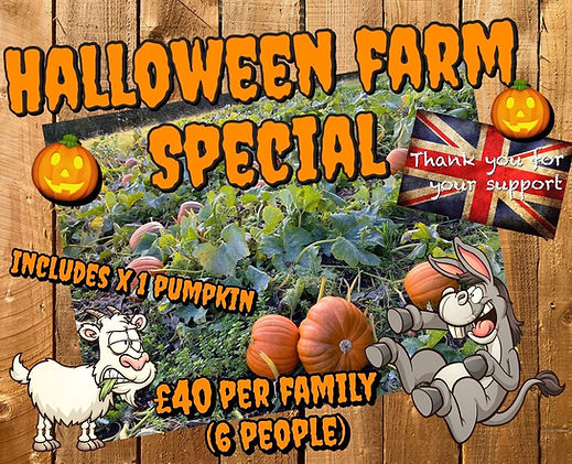 halloween11.jpg
