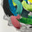 Thumbnail: Scales
