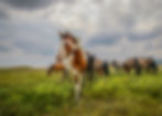 8760CF5F-FE0D-49C8-8CEA-AD627374A4BA.jpe