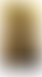 The Chapel of Our Lady of Šiluva: A Brief History