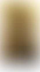 The Chapel of Our Lady of Šiluva: A Brief History