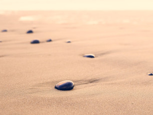 Rising Women - Enhancing self-care