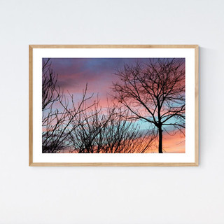 Beautiful landscape photography of a sunset with silhouetted trees