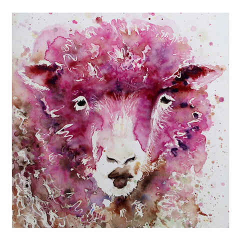 Pink Sheep