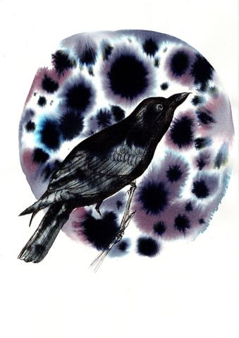 I Woke to the Sound of Crows
