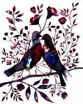 Doves