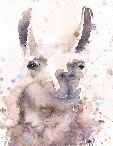 Llama
