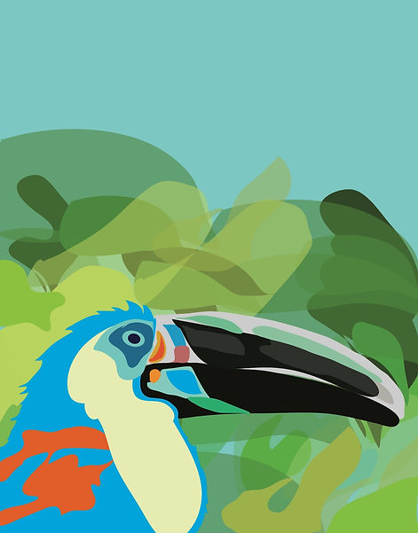 Tucan.jpg