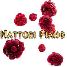 服部ピアノ教室ロゴ