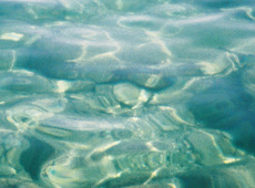Turquoise ocean