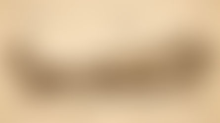 Vintage-style engineering illustration of Santa Claus’s sleigh, depicting the sleigh frame, seating, runners, and reindeer team in a technical schematic format.