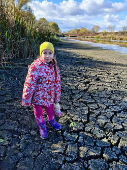 IMG-0291aaaab9757275c110fe4aeec53b6a-V – копія – копія