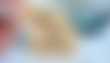 2025 em retrospetiva: um ano de consolidação, propósito e resultados reais