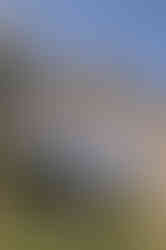 _DSF6014.jpg