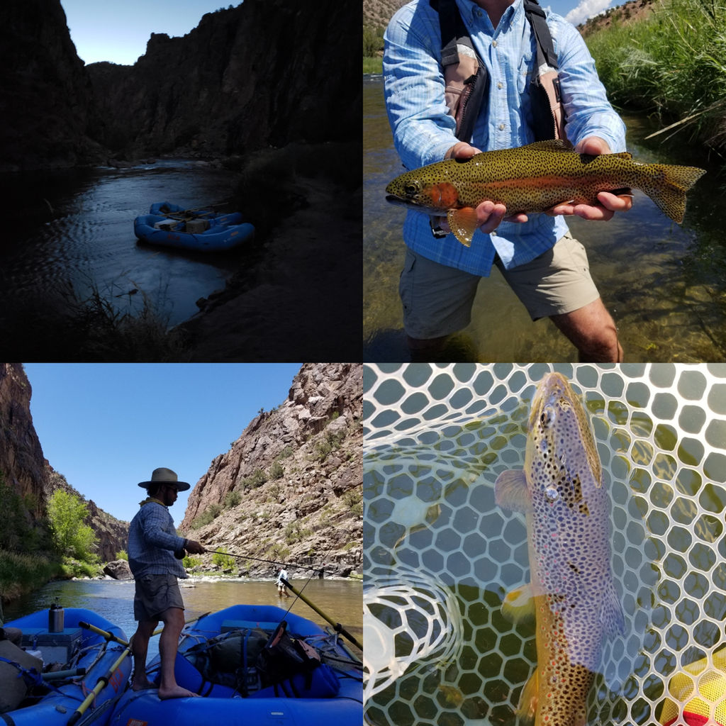 Fly Fishing Guide New Braunfels Texas USA Action