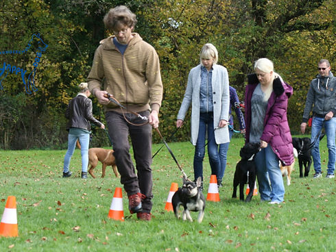 happy_dog_erziehungsplus_kurs.jpg