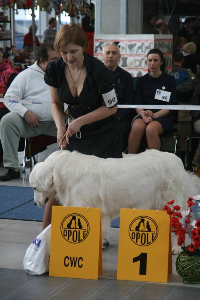 Zuzzu, female - Intermediate Class