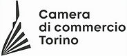 CameraCommercio_LOGO_pos_edited.jpg
