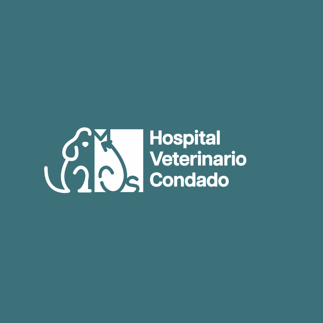 Hospital Veterinario Condado