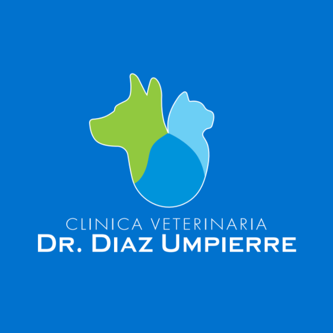 Bayamon Logo