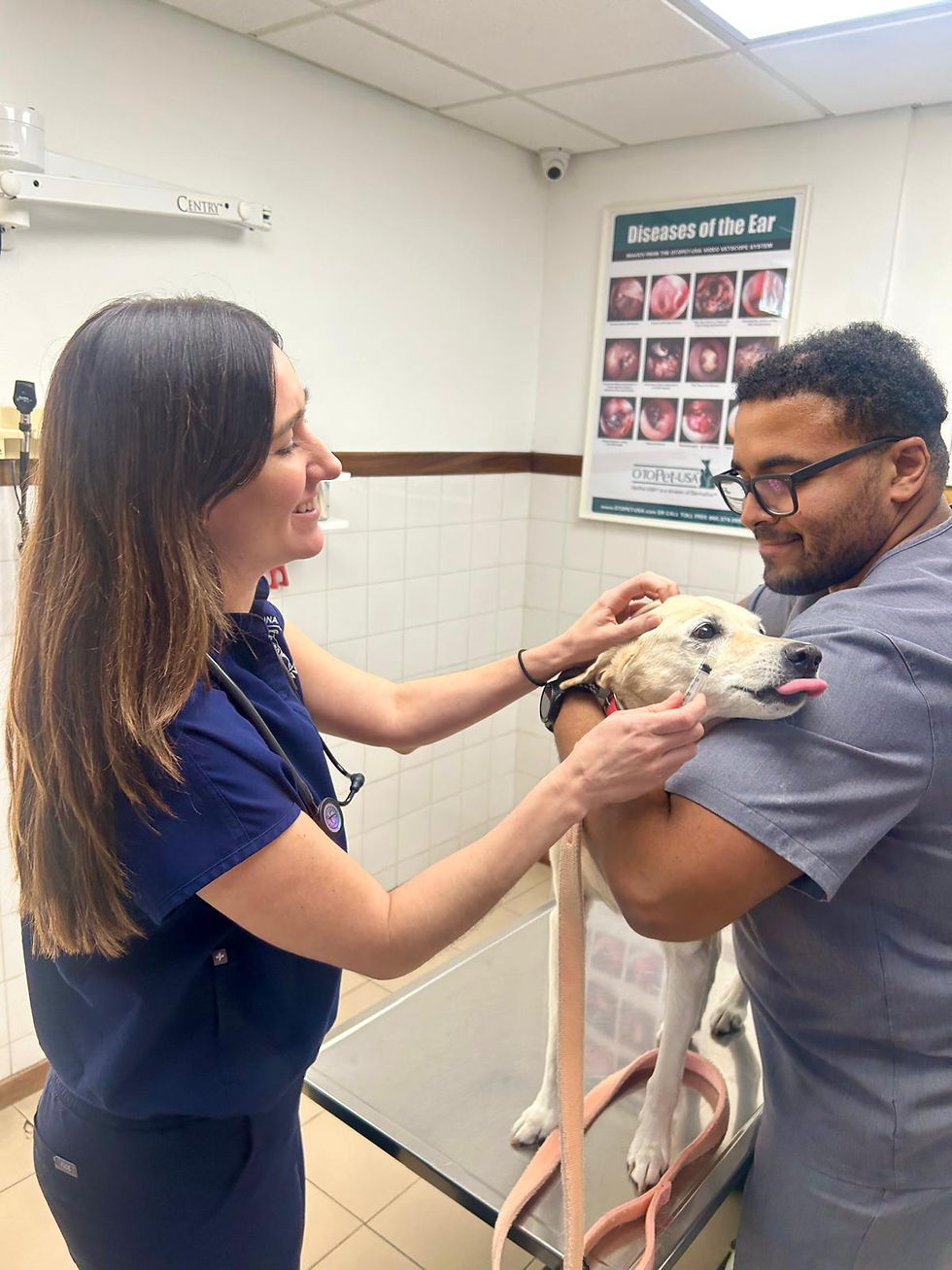 WhatsApp Image 2025-09-25 at 12.07.42.jpeg