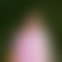 “Wolf Child” anuncia um universo próprio e eleva as expectativas para Saints and Aliens