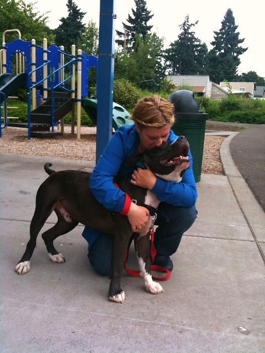 Animal shelter page.jpg