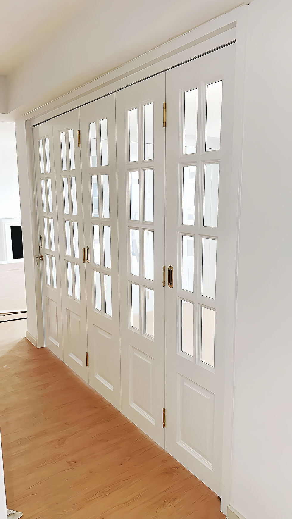 Thumbnail: Bifold Door