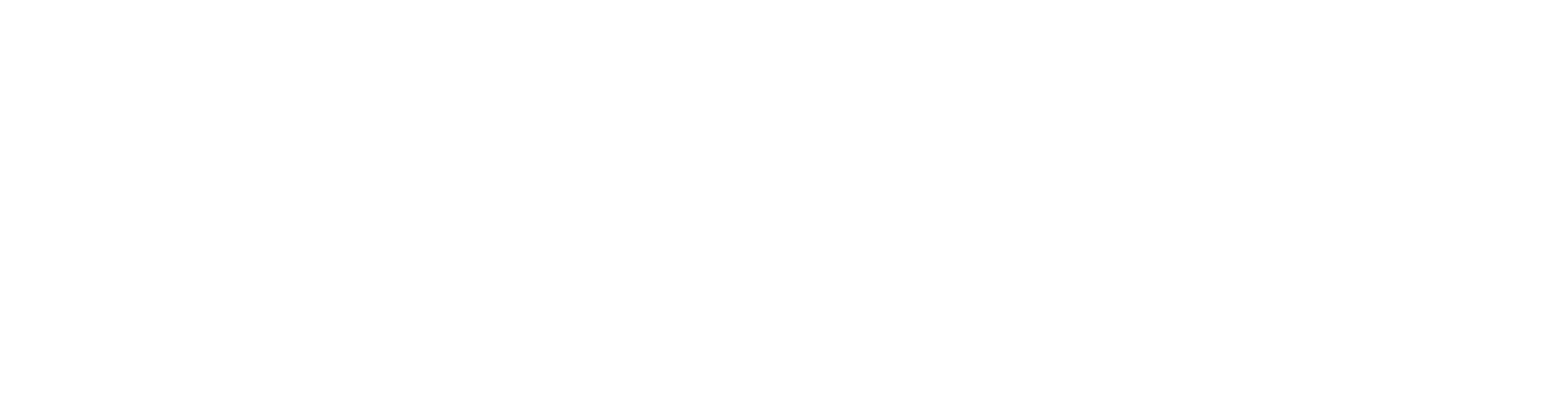 White logo - no background (1).png