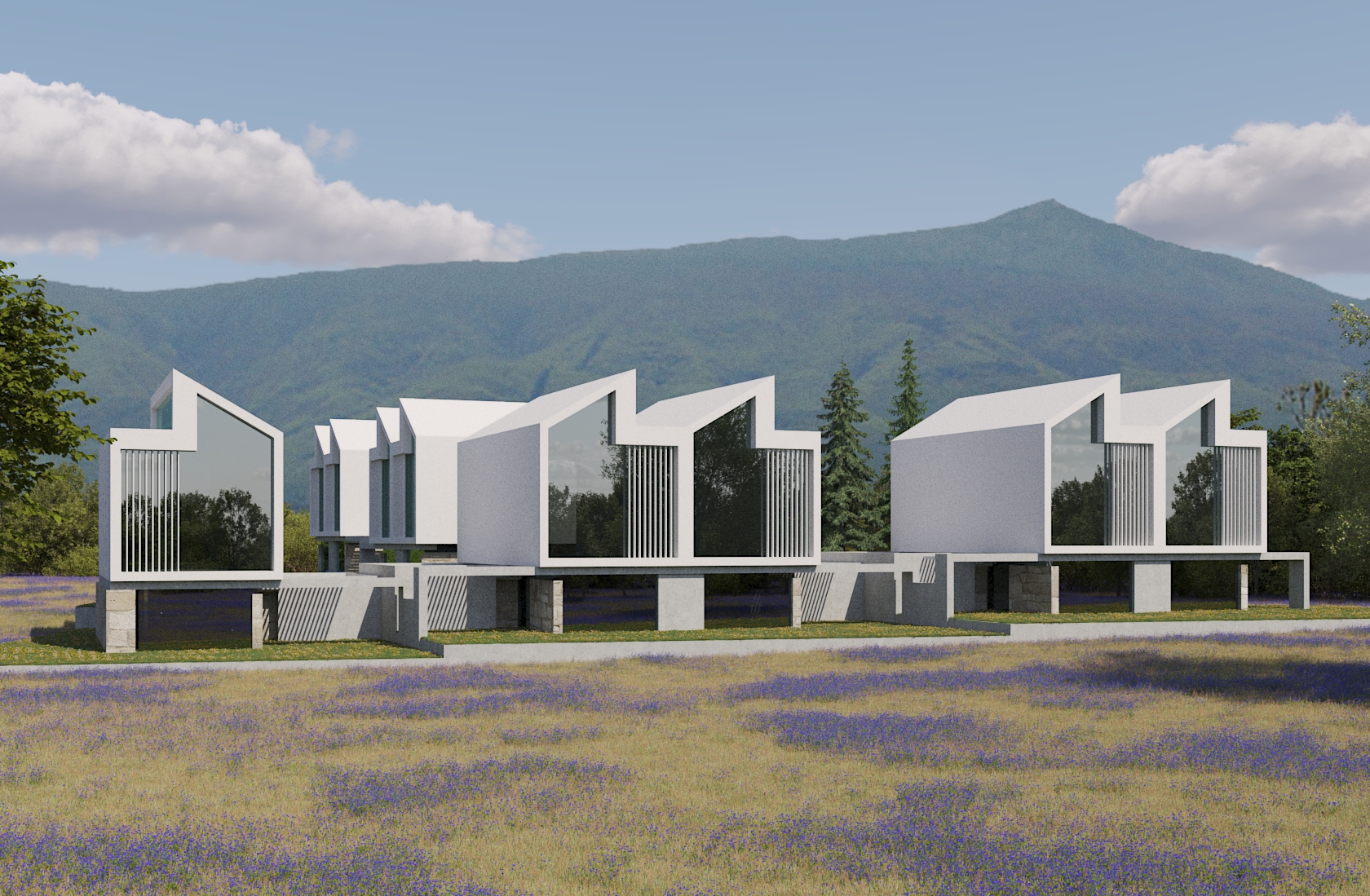 a placeholder image.