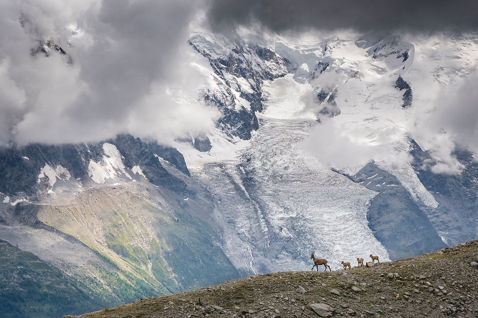 Gletscher1.jpg