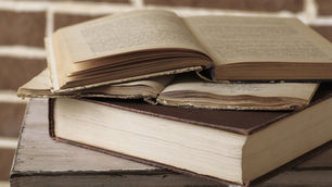 DU Philosophie de l’ostéopathie à l’UCLY | Un diplôme universitaire pour les ostéopathes