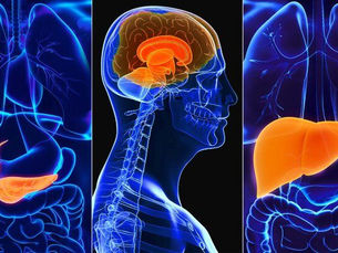 Inflammation: the root cause of most disease