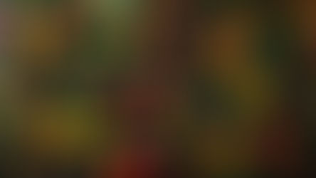 A nutritious Christmas