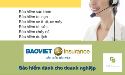 Bảo hiểm dành cho doanh nghiệp.png