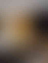 CONCENTRIC BRASS DOUBLE DOOR