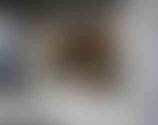 FLUTED BRASS DOUBLE DOOR