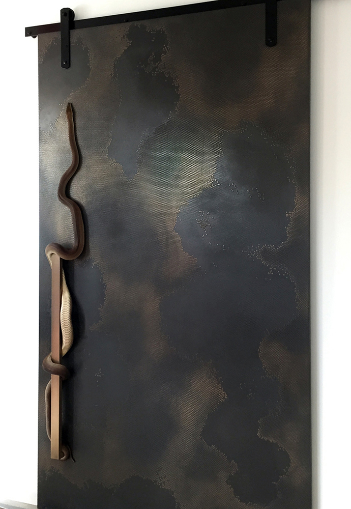THE BRONZE VIPER DOOR