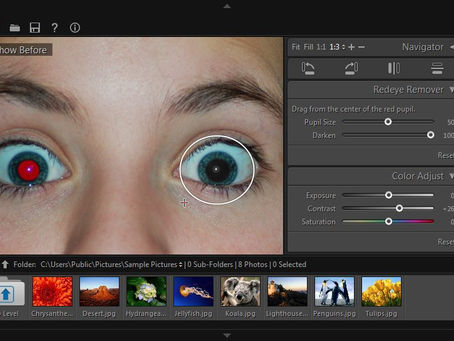 Free Red-eye Reduction Tool [March-2022]