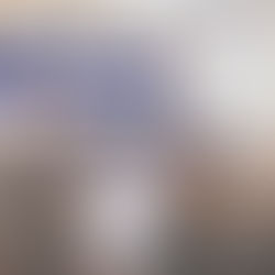 VOL Bez násilí: spolupráce s VS ČR na prevenci násilného chování