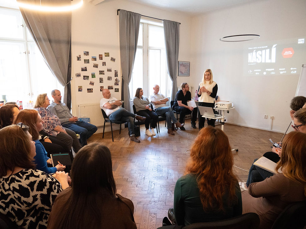 United Against Violence: Roundtable Meeting for the VOL Bez násilí Project