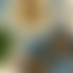 Vegan Risotto - Oil & Gluten Free