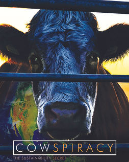 511315_438036-poster.jpg