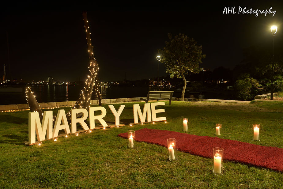 MarryMeForWeb (2 of 3)-2.jpg