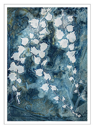 CYANOTYPE NO 9 by June Hill.jpg